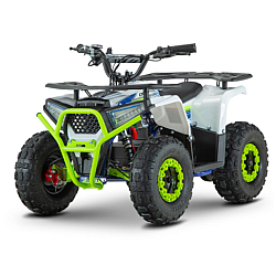 ATV de adulti RDB-FFA1000, 1000W, 48V12Ah ATV de adulti RDB-FFA1000, 1000W, 48V12Ah