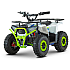 ATV de adulti RDB-FFA1000, 1000W, 48V12Ah