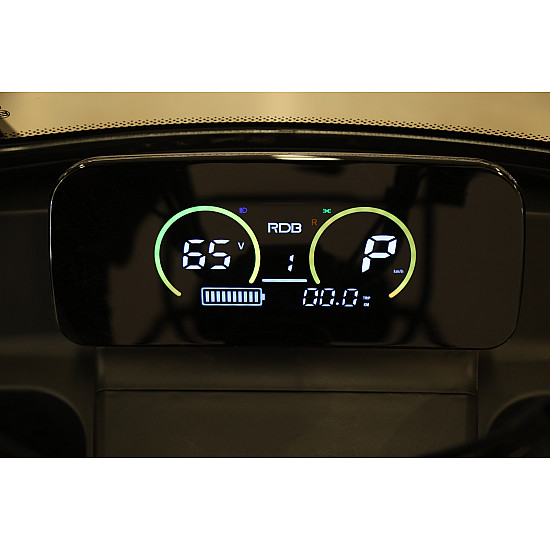 Triciclu Electric RDB Panda 5, 650W, 60V20Ah, Fără permis