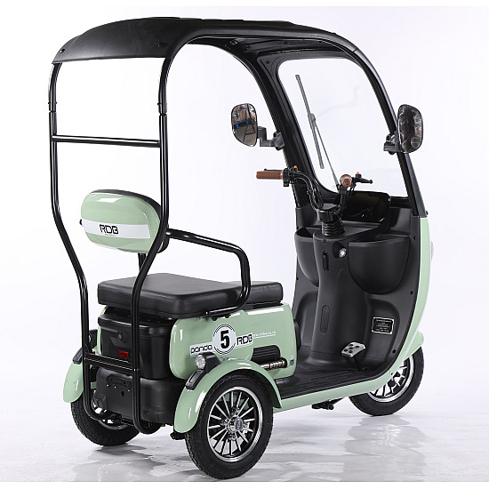 Triciclu Electric RDB Panda 5, 650W, 60V20Ah, Fără permis