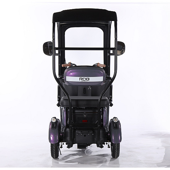 Triciclu Electric RDB Panda 5, 650W, 60V20Ah, Fără permis