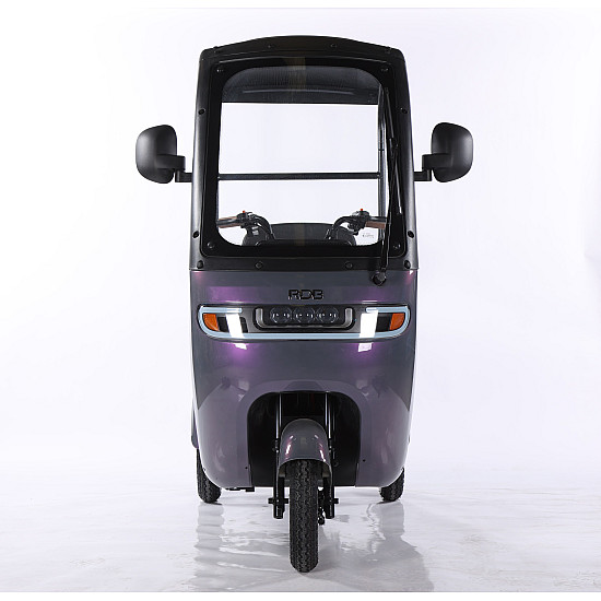 Triciclu Electric RDB Panda 5, 650W, 60V20Ah, Fără permis