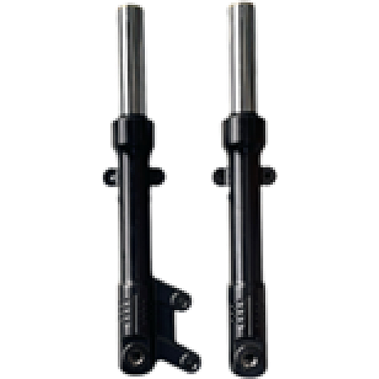 Set amortizoare fata RDB CC10