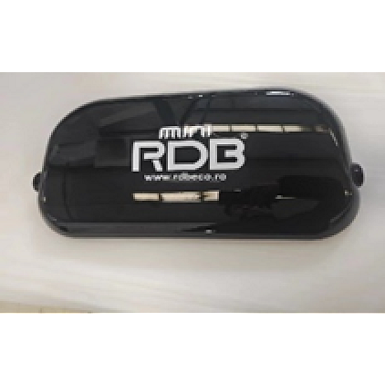 Panou protectie spate dreapta RDB Mini