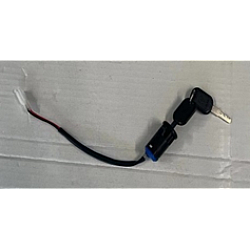 Broasca portbagaj RDB Roma