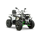 ATV RDB AFB200, 180cc, 4 Timpi ATV RDB AFB200, 180cc, 4 Timpi