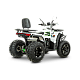 ATV RDB AFB200, 180cc, 4 Timpi ATV RDB AFB200, 180cc, 4 Timpi