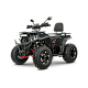 ATV RDB AFB200, 180cc, 4 Timpi ATV RDB AFB200, 180cc, 4 Timpi
