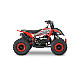 ATV RDB AV49, 49cc, Racire pe aer, 2 Timpi
