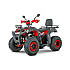 ATV RDB AW200, 180cc, 4 Timpi