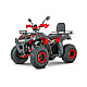 ATV RDB AW200, 180cc, 4 Timpi