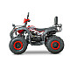 ATV RDB AW200, 180cc, 4 Timpi