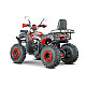 ATV RDB AW200, 180cc, 4 Timpi