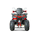 ATV RDB AW200, 180cc, 4 Timpi