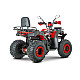 ATV RDB AW200, 180cc, 4 Timpi