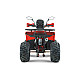 ATV RDB AY125, 125cc, 4 Timpi
