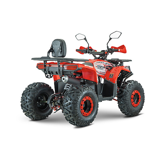 ATV RDB AY125, 125cc, 4 Timpi