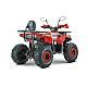 ATV RDB AY125, 125cc, 4 Timpi