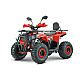ATV RDB AY125, 125cc, 4 Timpi