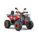 ATV RDB AY125, 125cc, 4 Timpi