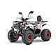 ATV RDB AY125, 125cc, 4 Timpi