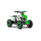 ATV RDB FV1000, 800W, 36V (12V, 12 Ah), 25 km/h