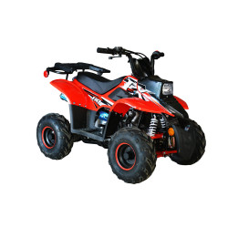 ATV copii RDB FXATV-SA  benzină