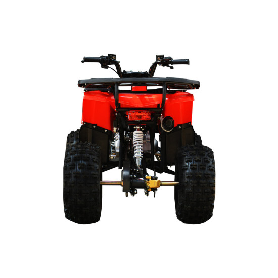 ATV adulți benzină RDB FXATV-SV 2023