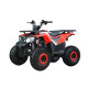 ATV adulți benzină RDB FXATV-SV 2023