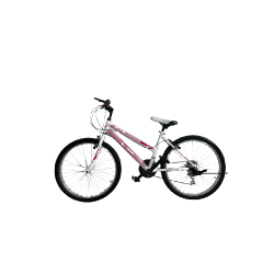 Bicicletă RDB Lady, 24 Inch, Cu cric lateral, Alb cu design Roz Bicicletă RDB Lady, 24 Inch, Cu cric lateral, Alb cu design Roz