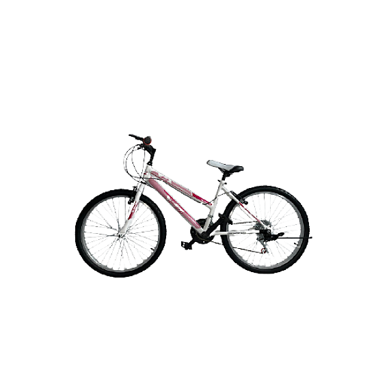 Bicicletă RDB Lady, 24 Inch, Cu cric lateral, Alb cu design Roz