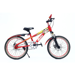 Bicicletă copii RDB ASC-20, 20inch, Cu frână disc față-spate