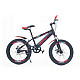 Bicicleta copii RDB Albatros 20", Frane disc, 2022