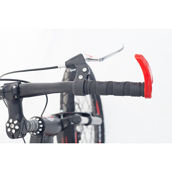 Bicicleta copii RDB Albatros 20", Frane disc, 2022