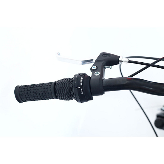 Bicicleta copii RDB Tiger, 24 inch, Suspensie fata, Otel Bicicleta copii RDB Tiger, 24 inch, Suspensie fata, Otel