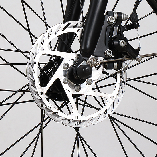 Bicicletă electrică RDB GT-25, cadru pliabil, 250W,model 2022