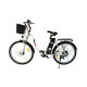 Bicicleta electrica RDB NE10, 250W, 25 km/h, autonomie 45-60 km, Alb