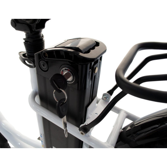 Bicicleta electrica RDB NE10, 250W, 25 km/h, autonomie 45-60 km, Alb