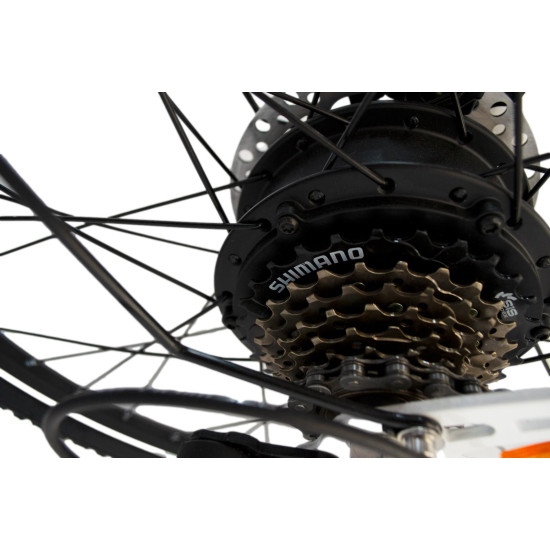 Bicicleta electrica RDB NE10, 250W, 25 km/h, autonomie 45-60 km, Alb