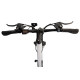 Bicicleta electrica RDB T7, 250W, autonomie 30 - 40 km, 25km/h, 36v, 10.4 Ah, Alb
