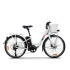 Bicicleta electrica RDB XT-1, 250W, pliabila, 6 viteze, model 2022, cos transport
