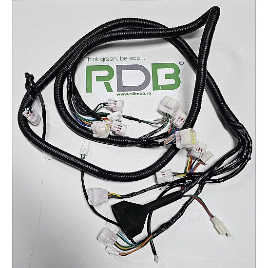 Cablu electric pricipal F35