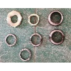 Contrapiulita furca Sulina