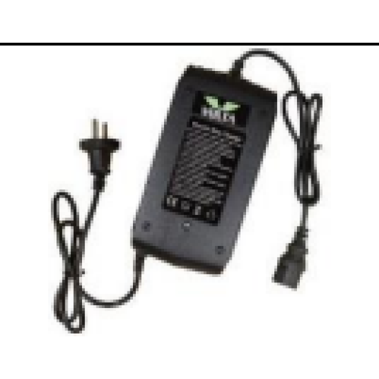 INCARCATOR 60V-20AH LITIUM VS2