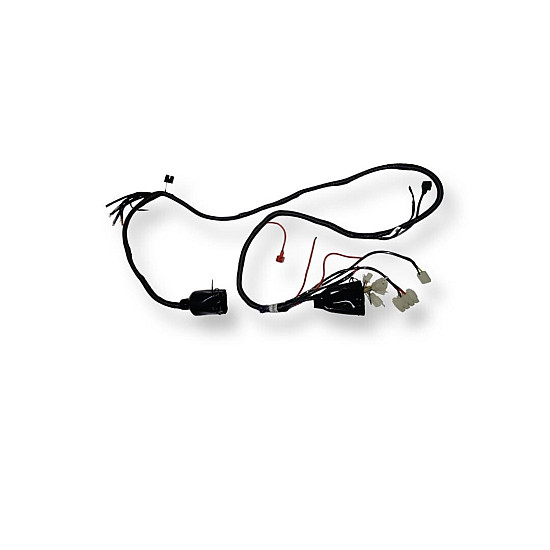 Cablu electric principal RDB C-Klass 2 Cablu electric principal RDB C-Klass 2