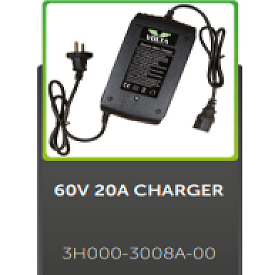 Incarcator 60 V 20 AH VM4