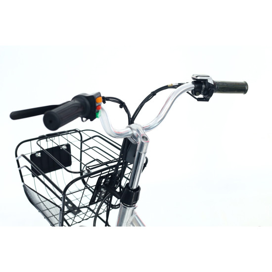 Scuter Electric Tip E-Bike RDB NUFĂRUL 250W, fara permis Scuter Electric Tip E-Bike RDB NUFĂRUL 250W, fara permis