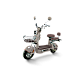 Scuter Electric RDB PARIS, 600W, fara permis, 48V 20Ah, 25km/h