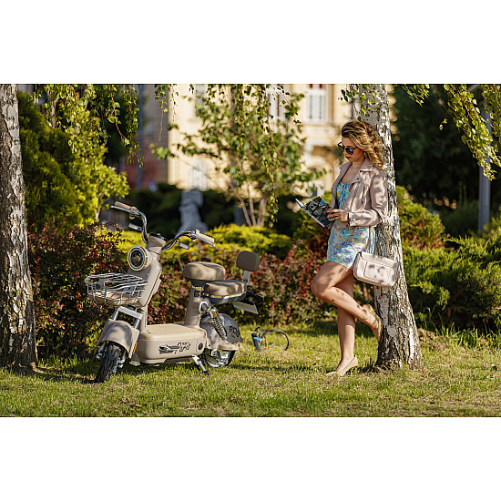 Scuter Electric RDB PARIS, 600W, fara permis, 48V 20Ah, 25km/h