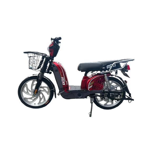 Scuter electric RDB Dunărea 450W